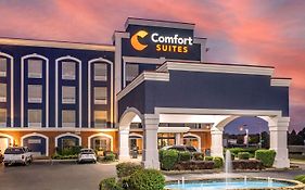 Comfort Suites Olive Branch - Memphis South